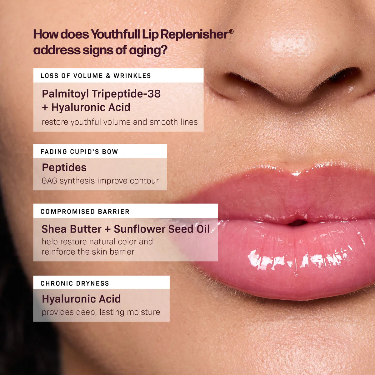 Revision Tinted YouthFull Lip Replenisher