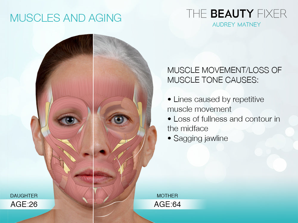 Facial Aging Process FACIAL AGING - 123beautylab